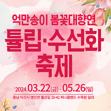 충남 아산 억만송이 봄꽃대향연 튤립 수선화 축제